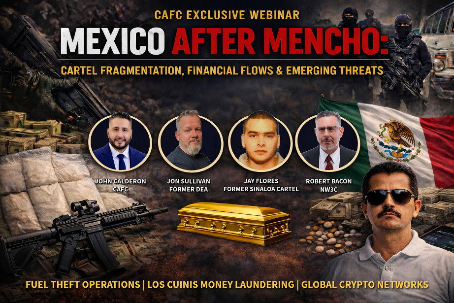 Mexico After Mencho webinar panel